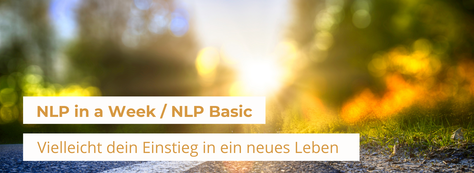 NLP Basic für Erfolg im Beruf und erfüllte Partnerschaften 17. - 23. Okt.22