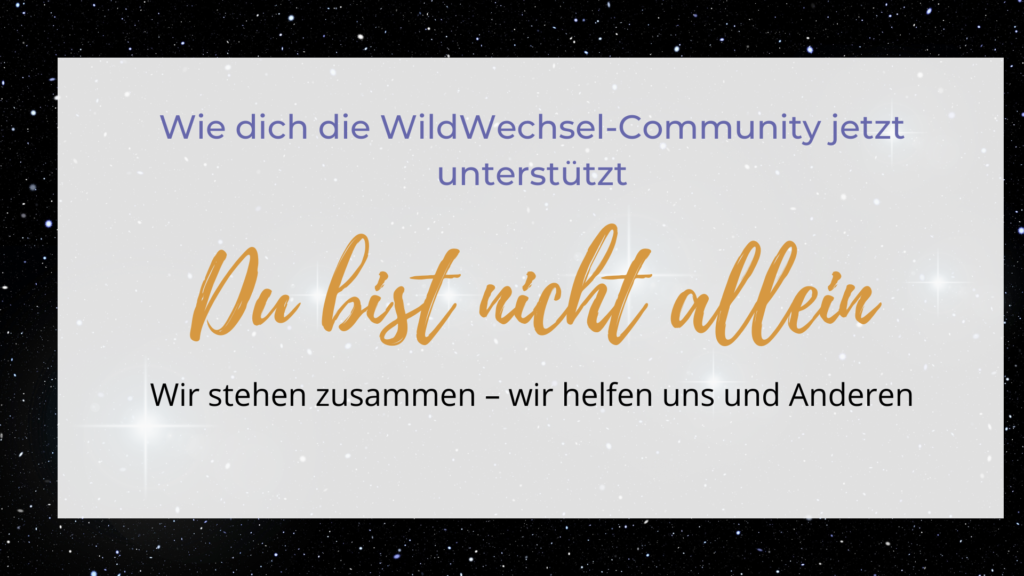 Die WildWechsel-Community steht zusammen